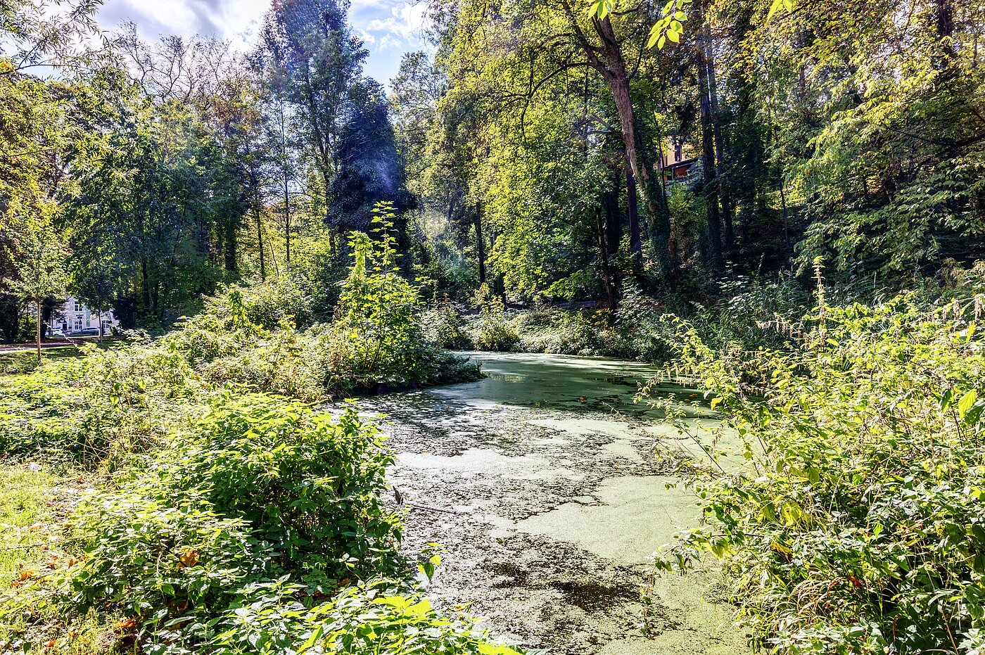 Appartement avec 2 pièces | München-Thalkirchen | 70493 | Viel Natur