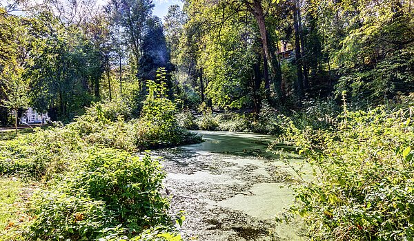Appartement avec 2 pièces | München-Thalkirchen | 70493 | Viel Natur
