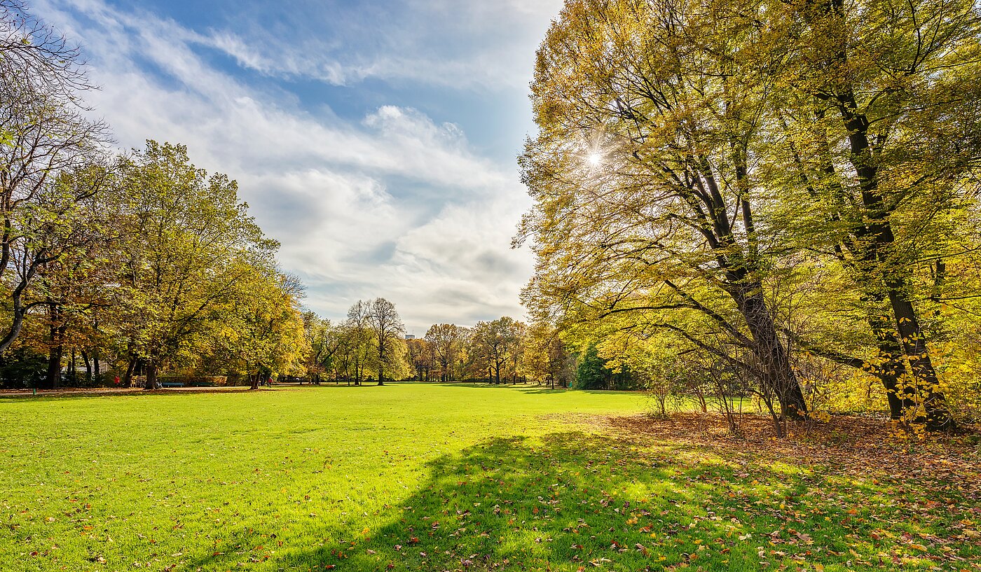 Apartment avec 1 pièce | München-Milbertshofen | 70188 | Naherholung