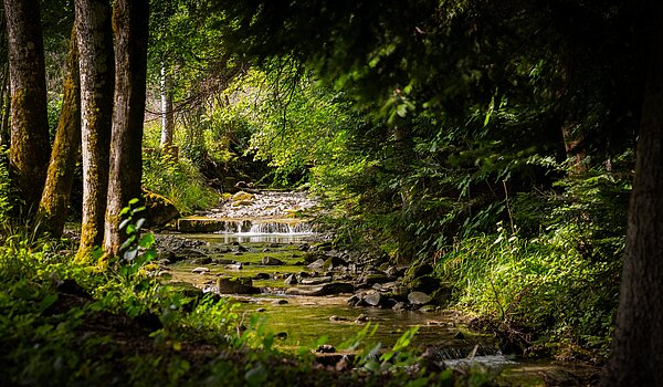 Appartement au rez-de-chaussée avec 3 pièces | Bad Wiessee | 70053 | Zeiselbach