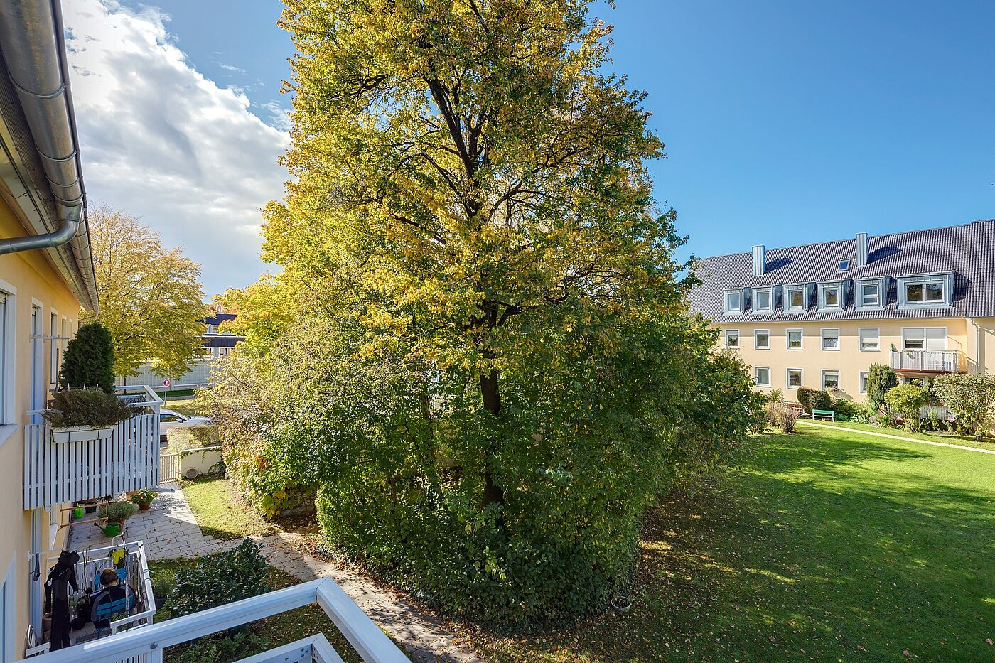Appartement avec 3 pièces | München-Untergiesing | 1909ML6 | Grünfläche