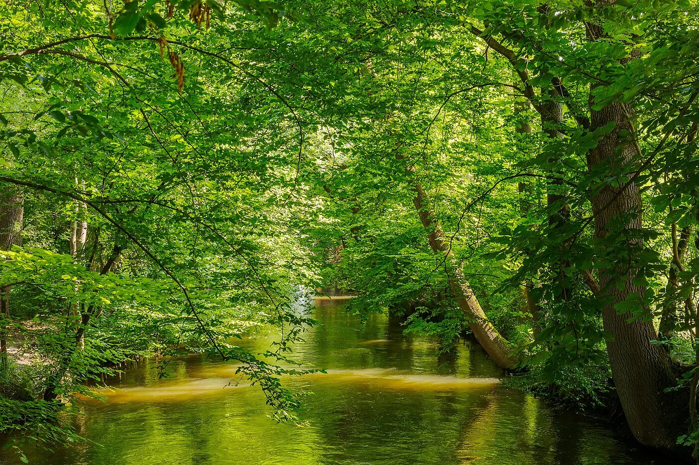 Appartement avec 2 pièces | München-Pasing | 2108ML1 | Naherholung im Stadtpark