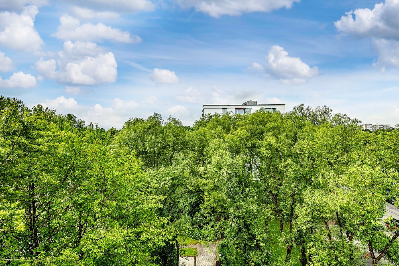 Appartement avec 2 pièces | München-Bogenhausen | 2206ML3 | Sommerimpressionen