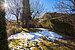 Maison d'angle mitoyenne avec 5.5 pièces | München-Trudering | 702531 | Eingewachsener Garten | Thumbnail