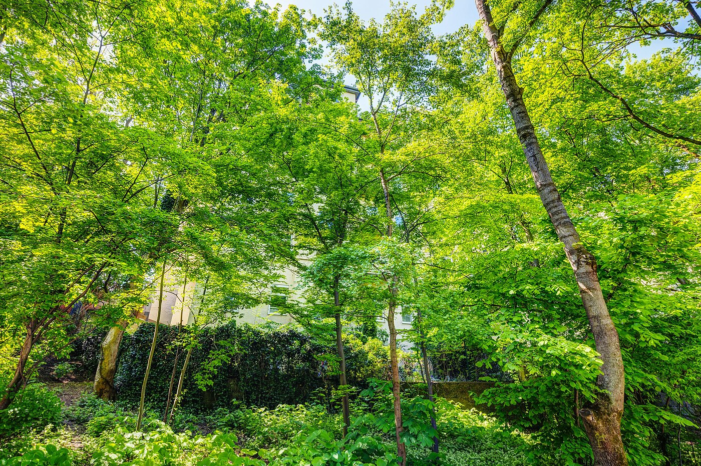 Appartement avec 2.5 pièces | München-Sendling | 70067 | ...versteckt hinter Bäumen