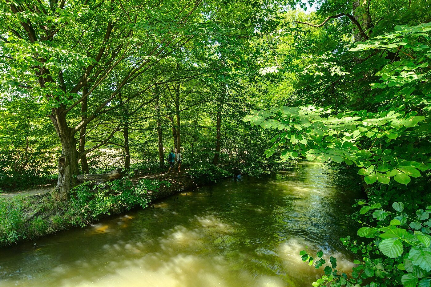 Maison jumelée avec 6 pièces | München-Pasing | 2007ML5 | Die Würm um die Ecke