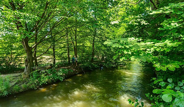 Maison jumelée avec 6 pièces | München-Pasing | 2007ML5 | Die Würm um die Ecke