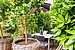 Appartement au rez-de-chaussée avec 1 pièce | München-Haidhausen | 70228 | ...Südfrüchten und... | Thumbnail