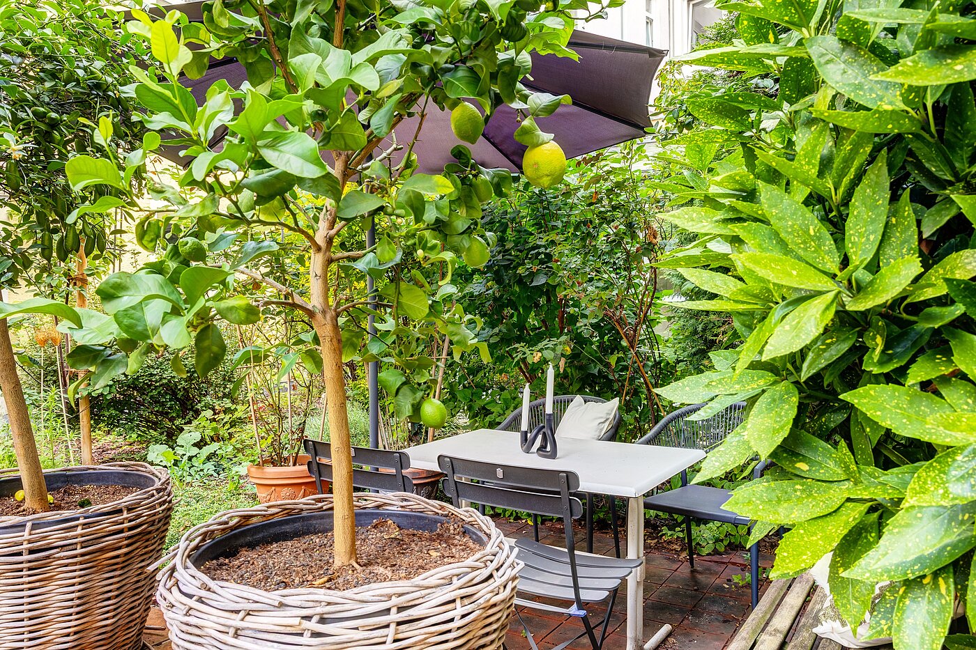 Appartement au rez-de-chaussée avec 1 pièce | München-Haidhausen | 70228 | ...Südfrüchten und...