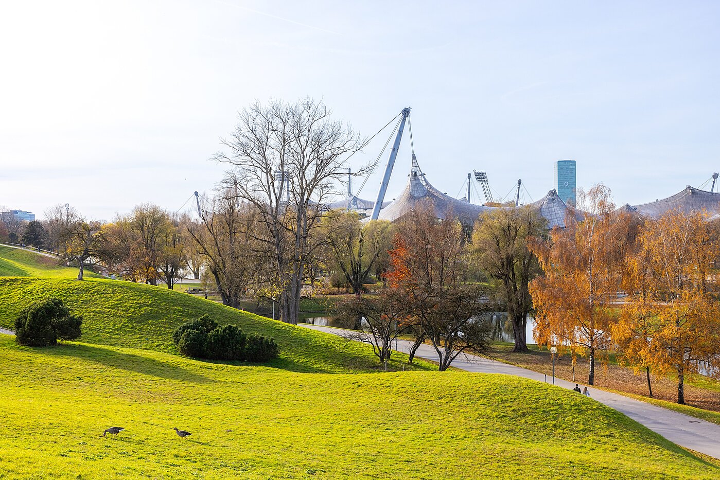 Appartement avec 3 pièces | München-Schwabing | 70318 | Naherholung