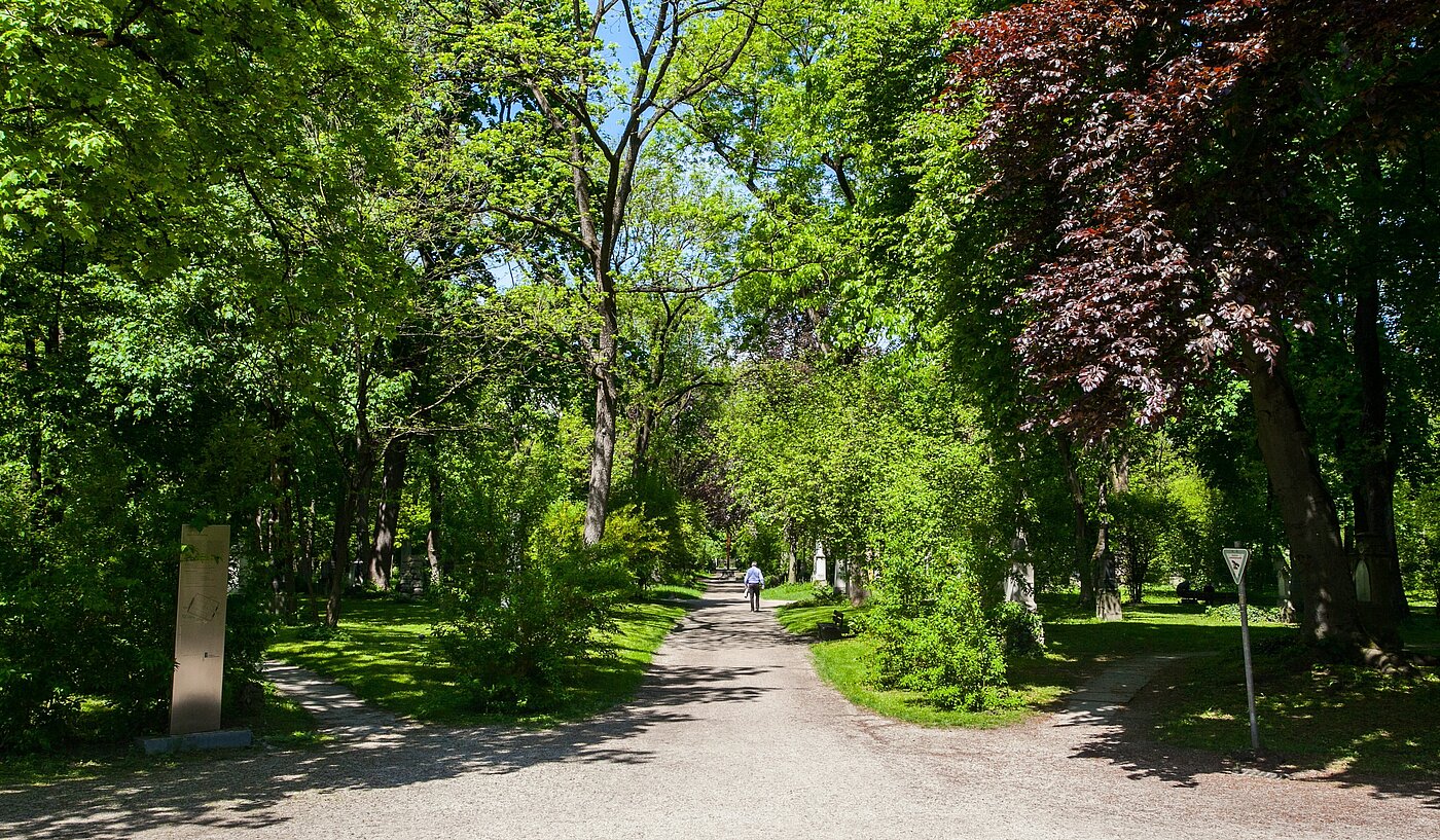 Appartement avec 3 pièces | München-Maxvorstadt | 2203ML31 | ...Sommer