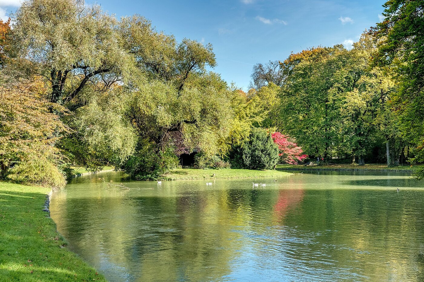 Rez-de-chaussée surélevé avec 2 pièces | München-Lehel | 2012ML1 | Herbst im Englischen Garten