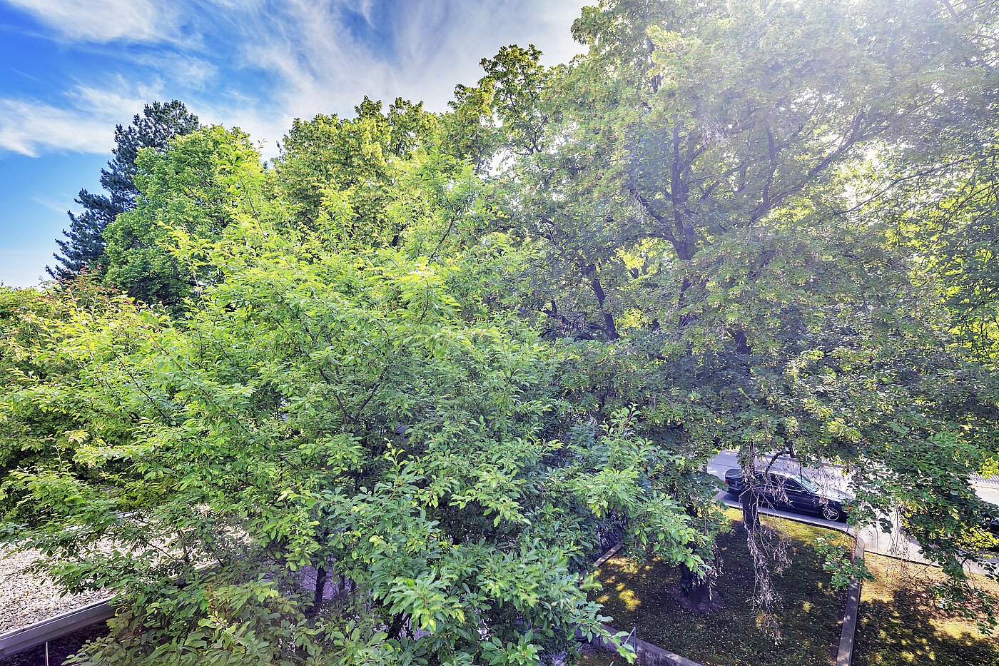 Appartement avec 3.5 pièces | München-Bogenhausen | 70267 | ...Ausblick ins Grüne
