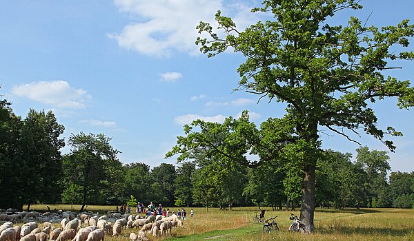 Penthouse avec 3.5 pièces | München-Oberföhring | 70237 | Englischer Garten