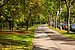 Apartment avec 1 pièce | München-Solln | 70499 | Ruhige Umgebung... | Thumbnail