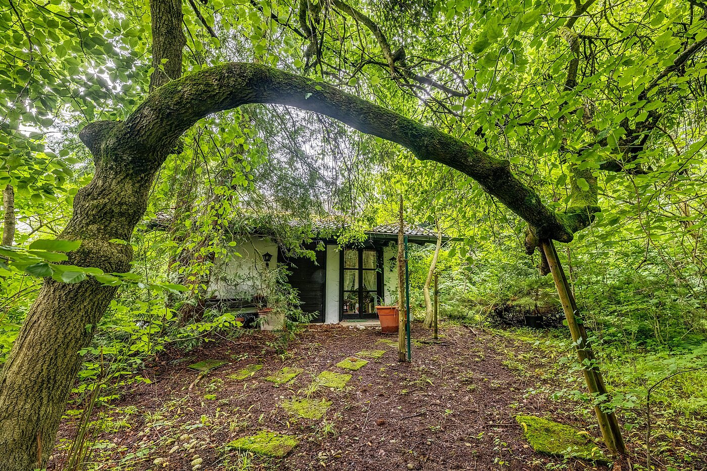 Grundstücke | 1767m² | Gräfelfing | 2106ML10 | Dicht eingewachsen