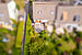 Maison d'angle mitoyenne avec 5.5 pièces | München-Trudering | 702531 | Von oben | Thumbnail