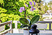 Appartement avec 3 pièces | München-Trudering | 70443 | Sonniger Westbalkon | Thumbnail