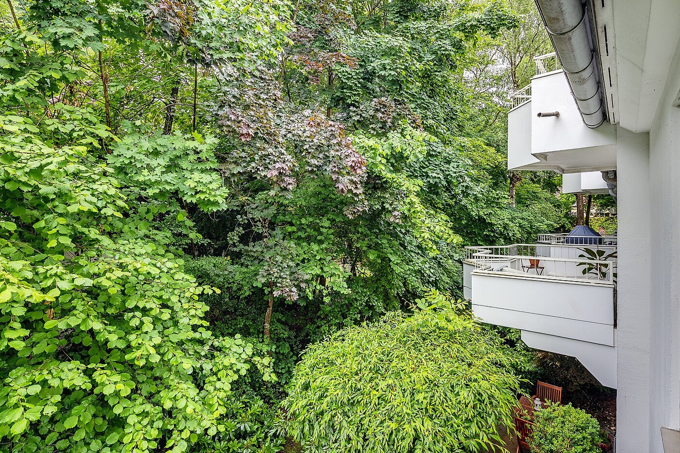Appartement avec 3 pièces | München-Harlaching | 2108ML3 | ...Blick in die grüne...