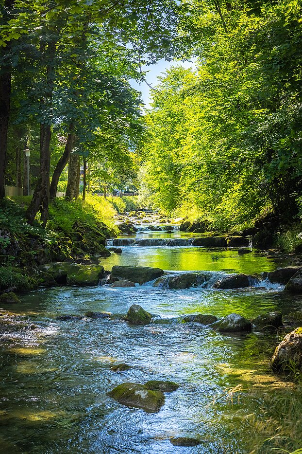 Propriété particulière avec 15 pièces | Bad Wiessee | 701591 | Söllbach