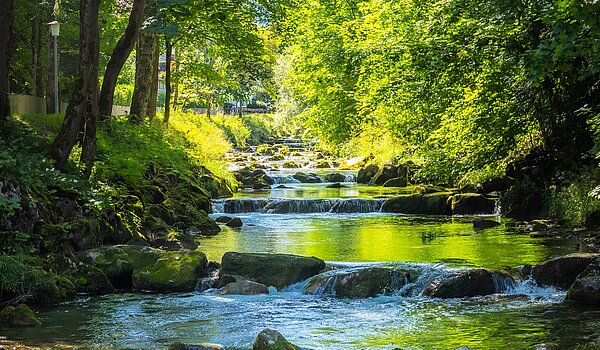 Propriété particulière avec 15 pièces | Bad Wiessee | 701591 | Söllbach