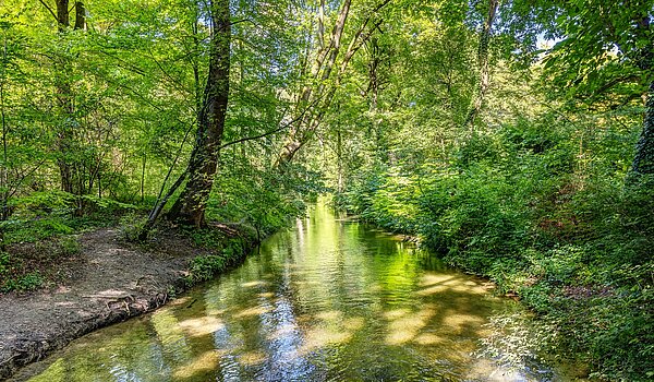 Appartement en duplex avec 3 pièces | München-Lehel | 2209ML5 | ...Englischen Garten...