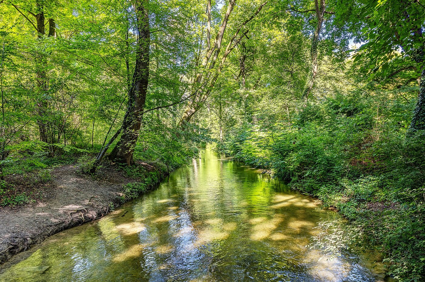 Appartement en duplex avec 3 pièces | München-Lehel | 2209ML5 | ...Englischen Garten...