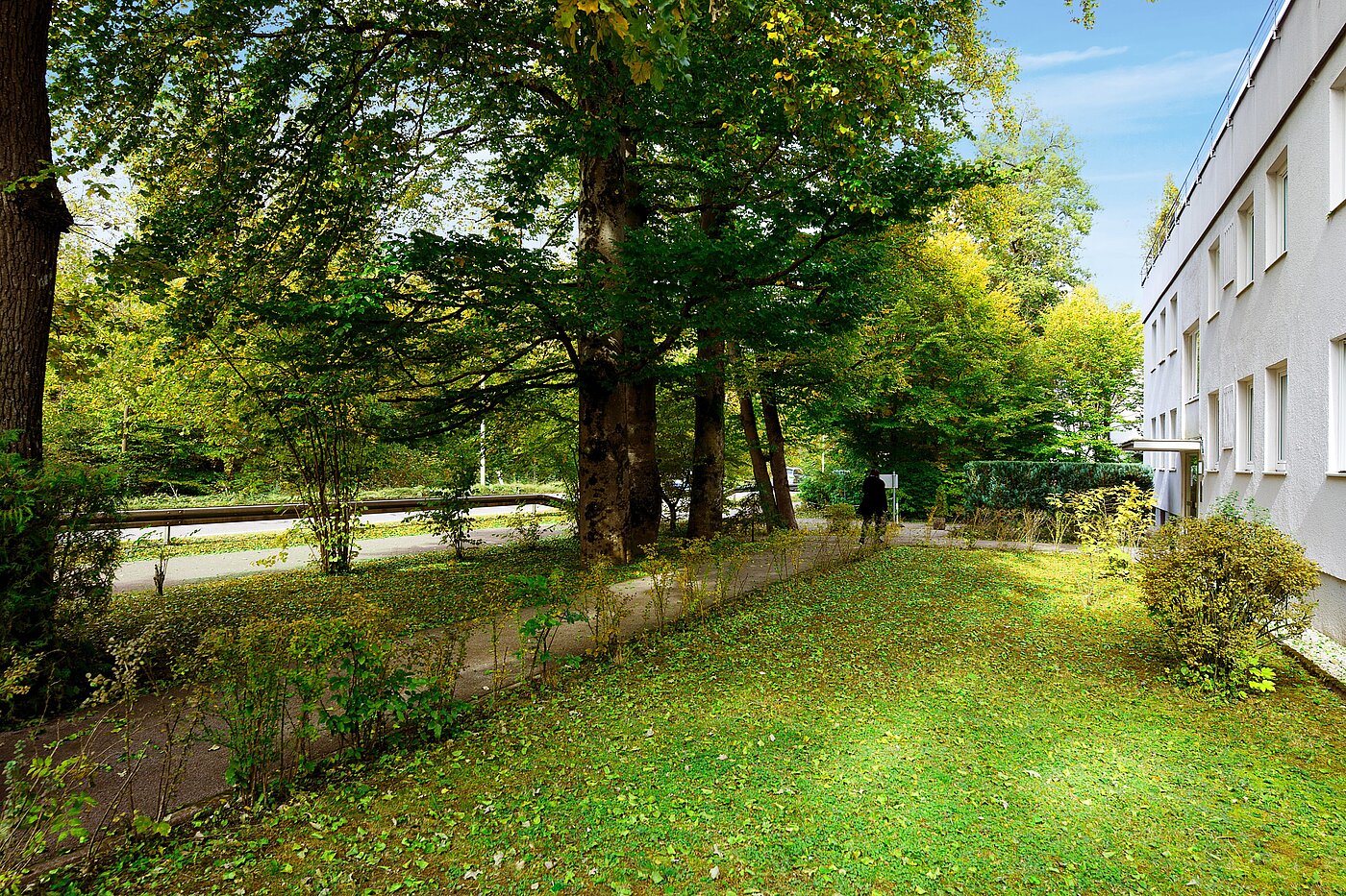 Appartement avec 1 pièce | München-Solln | 70137 | Grüne Aussichten