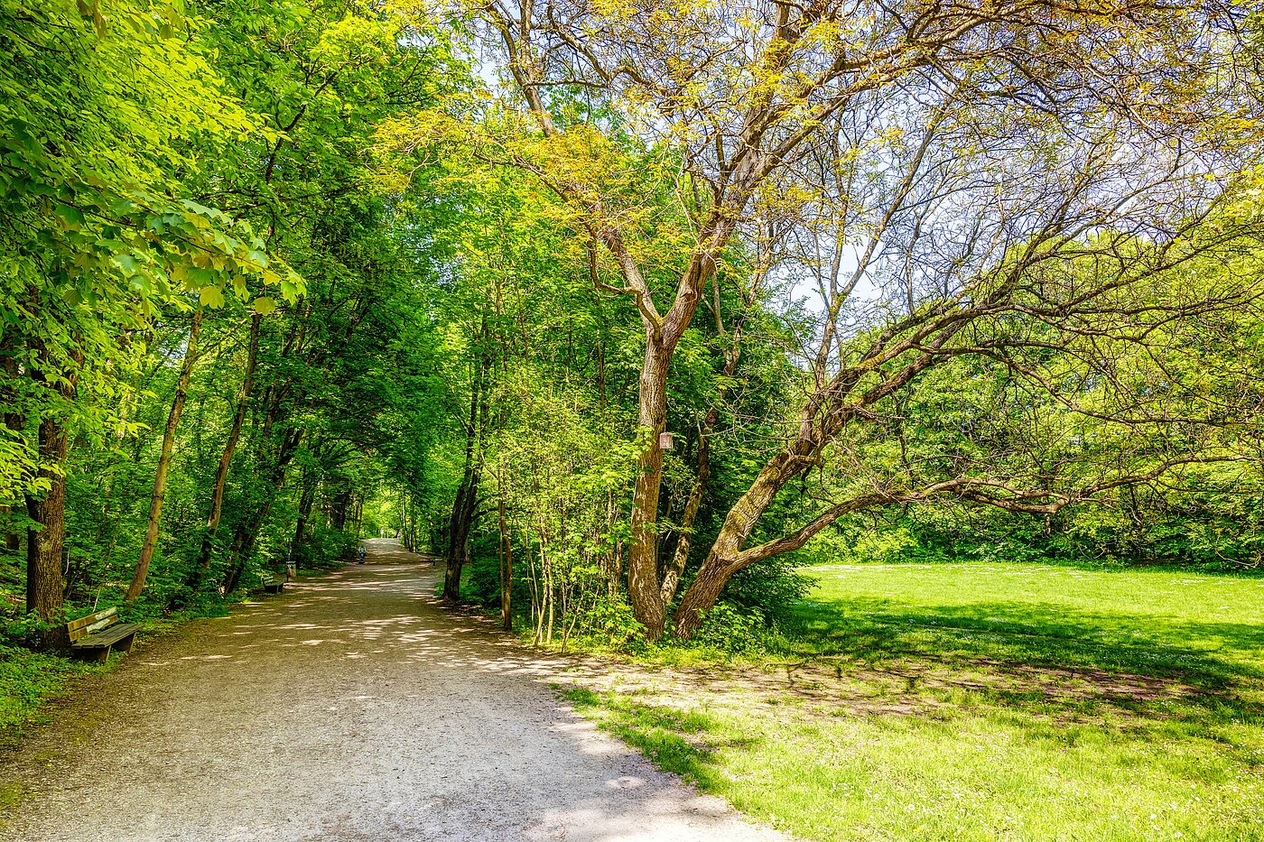 Appartement avec 2.5 pièces | München-Sendling | 70067 | Vom Sendlinger Park aus...