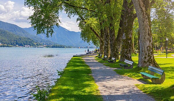 Propriété particulière avec 15 pièces | Bad Wiessee | 701591 | Seepromenade Bad Wiessee