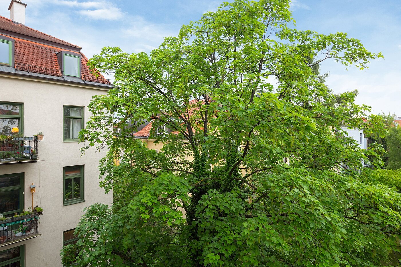 Appartement avec 1 pièce | München-Nymphenburg | 2102ML7 | Sommerliche Aussichten...