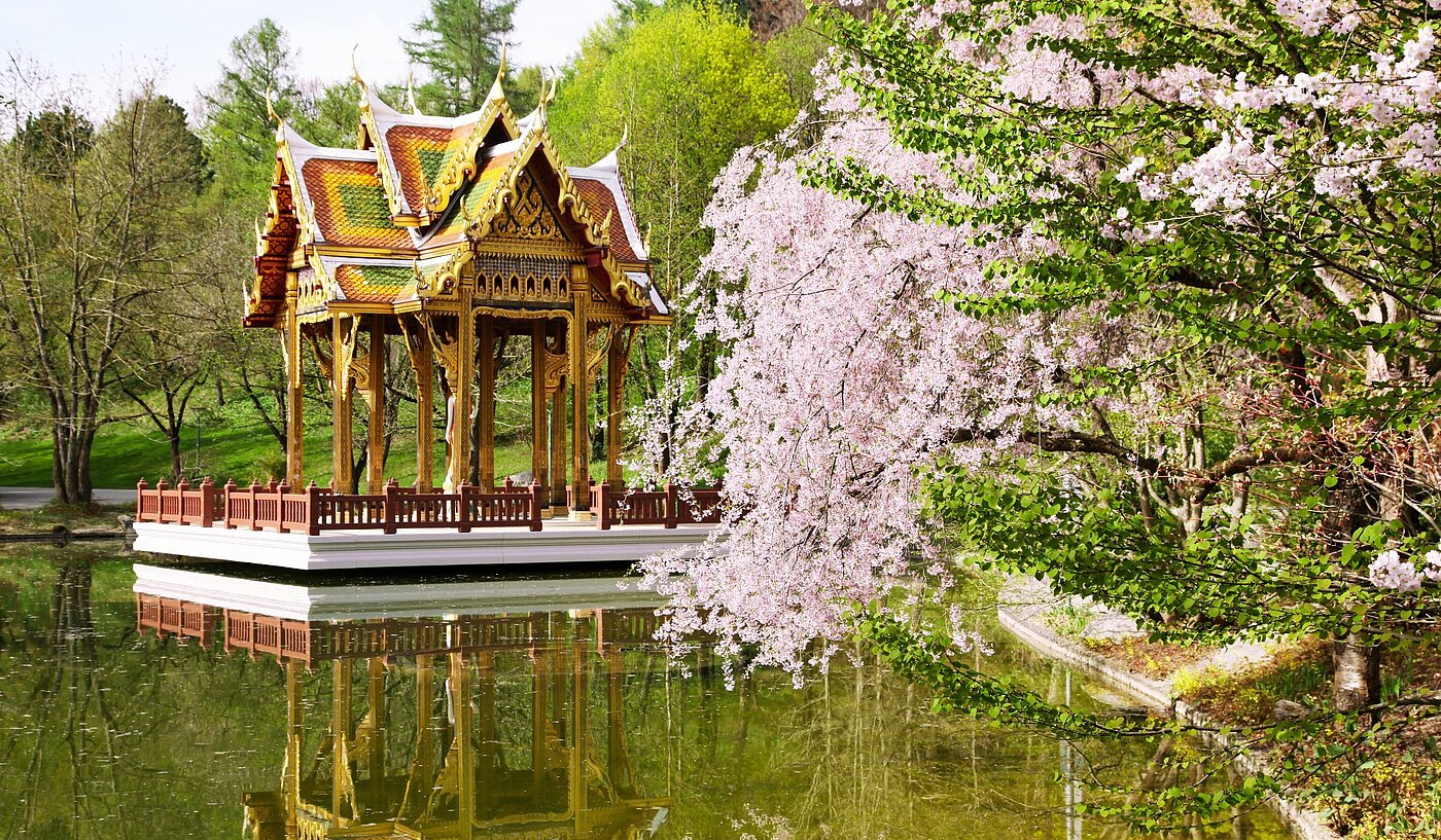 Appartement avec 1 pièce | München-Sendling-Westpark | 2008ML1 | Japanischer Garten