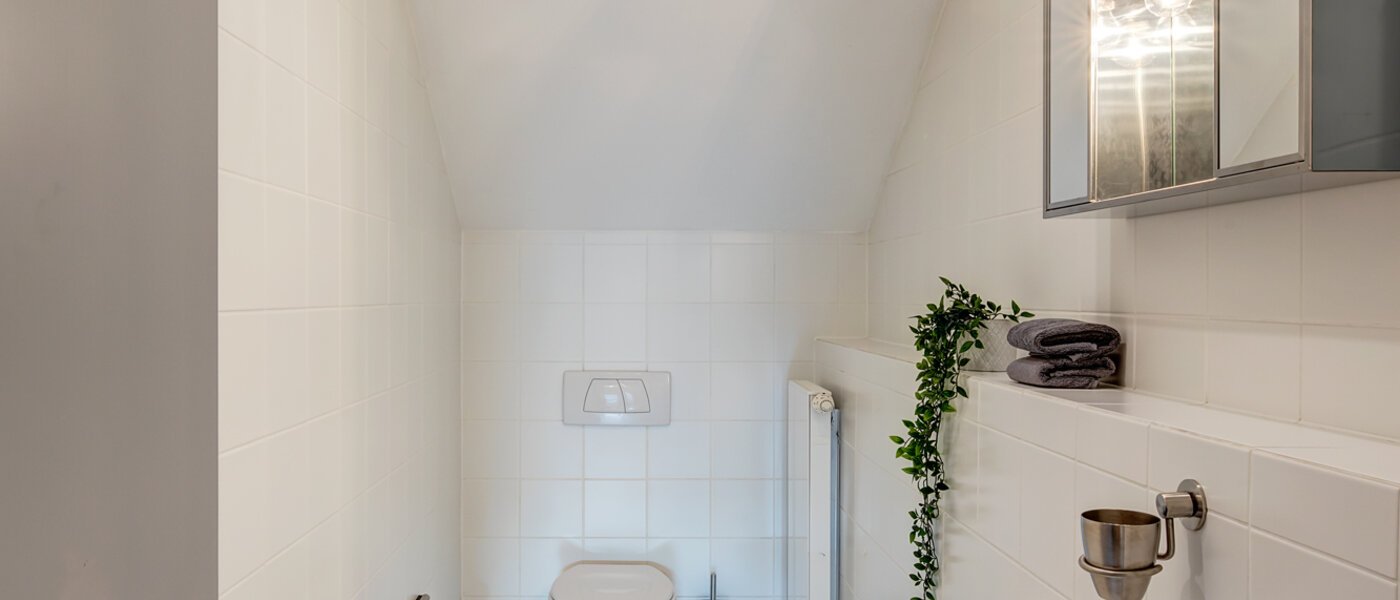 appartement avec terrasse sur le toit München Maxvorstadt - Museumsviertel 01 deux toilettes 1