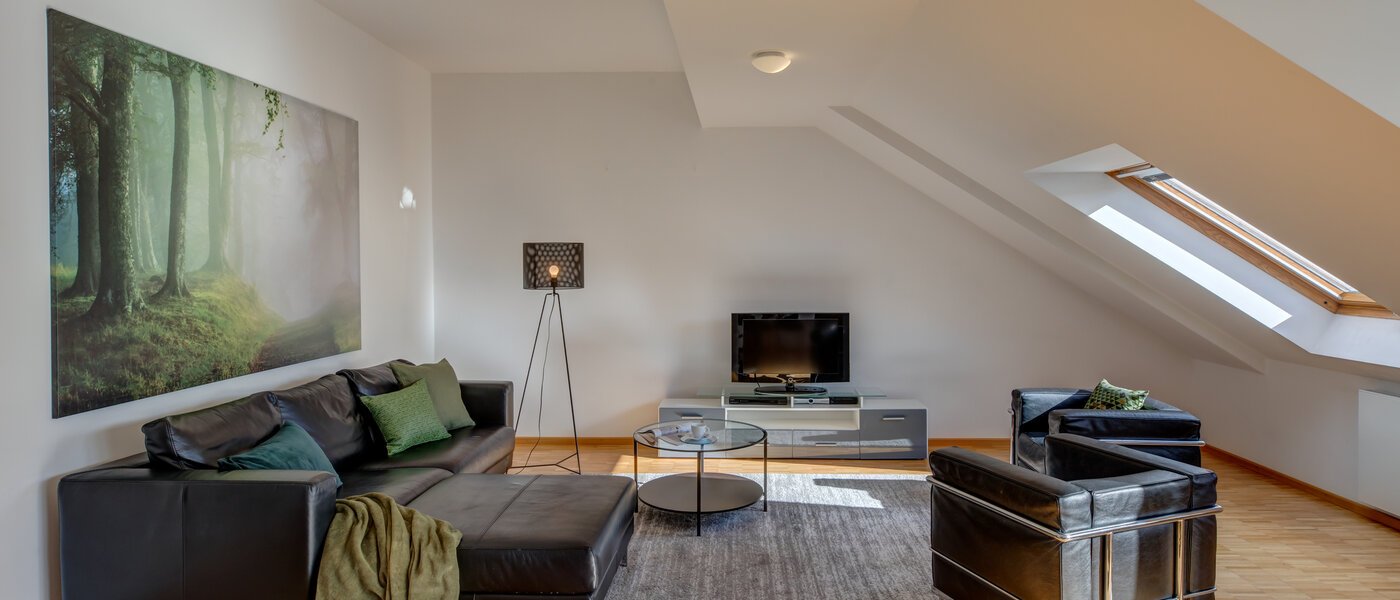 appartement avec terrasse sur le toit München Maxvorstadt - Museumsviertel 01 pièce à vivre 1