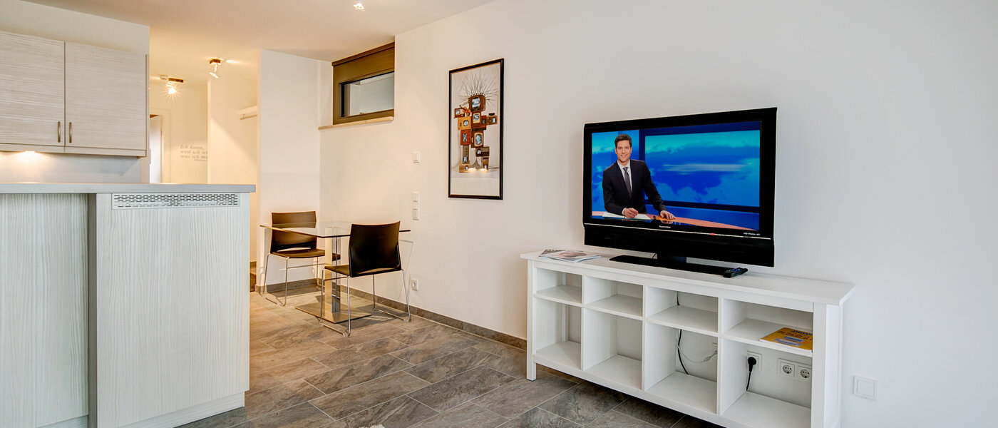 appartement München Lehel 03 salon 10017