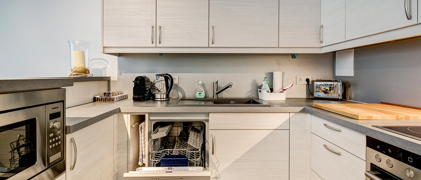 appartement München Lehel 02 cuisine 10017