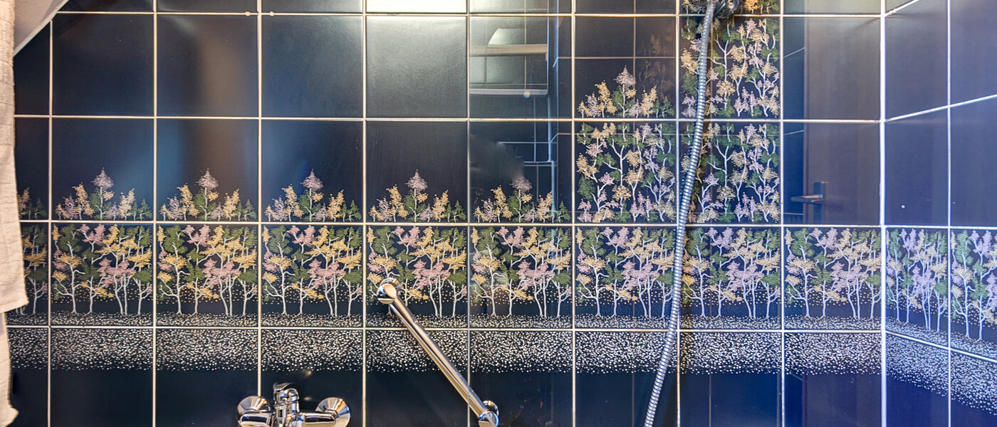 appartement sous les toits München Obermenzing 02 salle de bain 10079