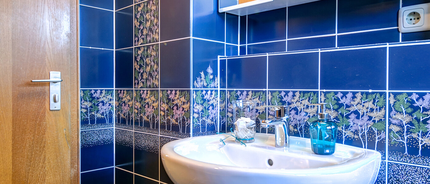 appartement sous les toits München Obermenzing 04 salle de bain 10079