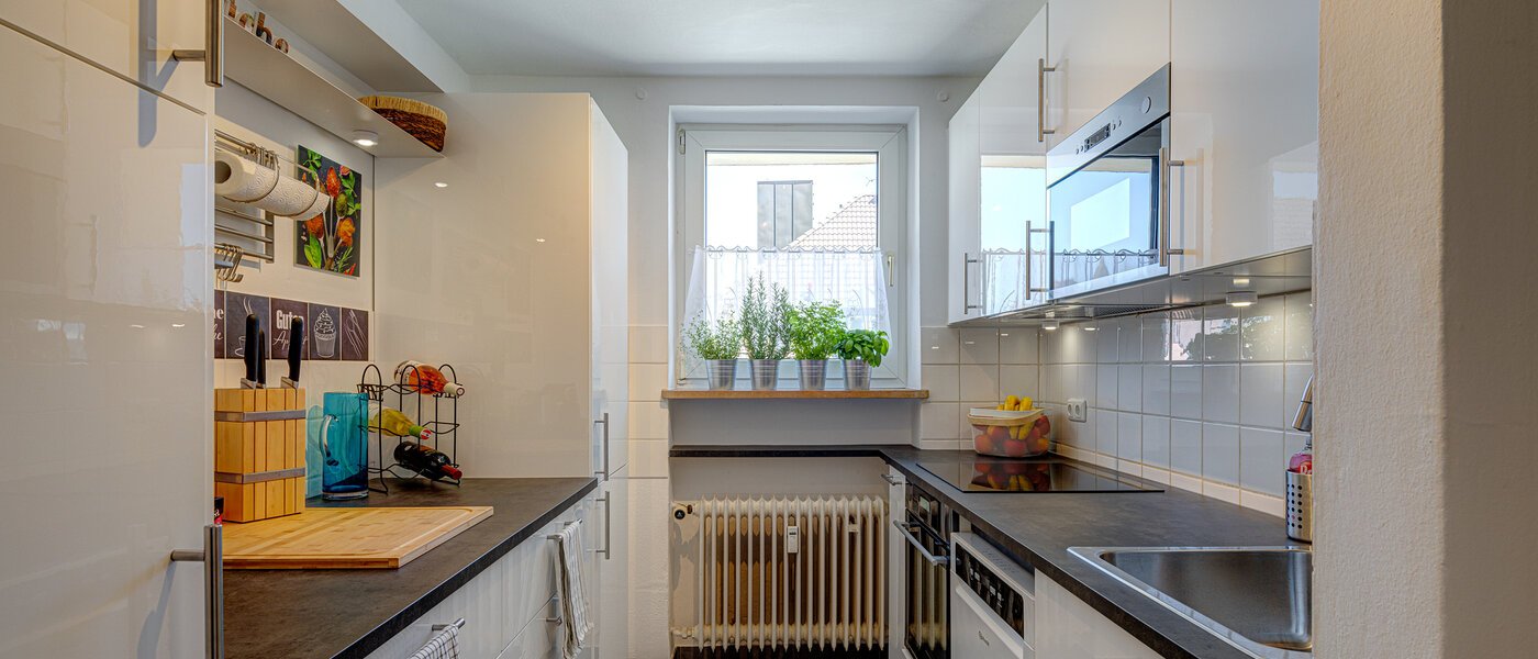 appartement München Lehel 01 cuisine 10088