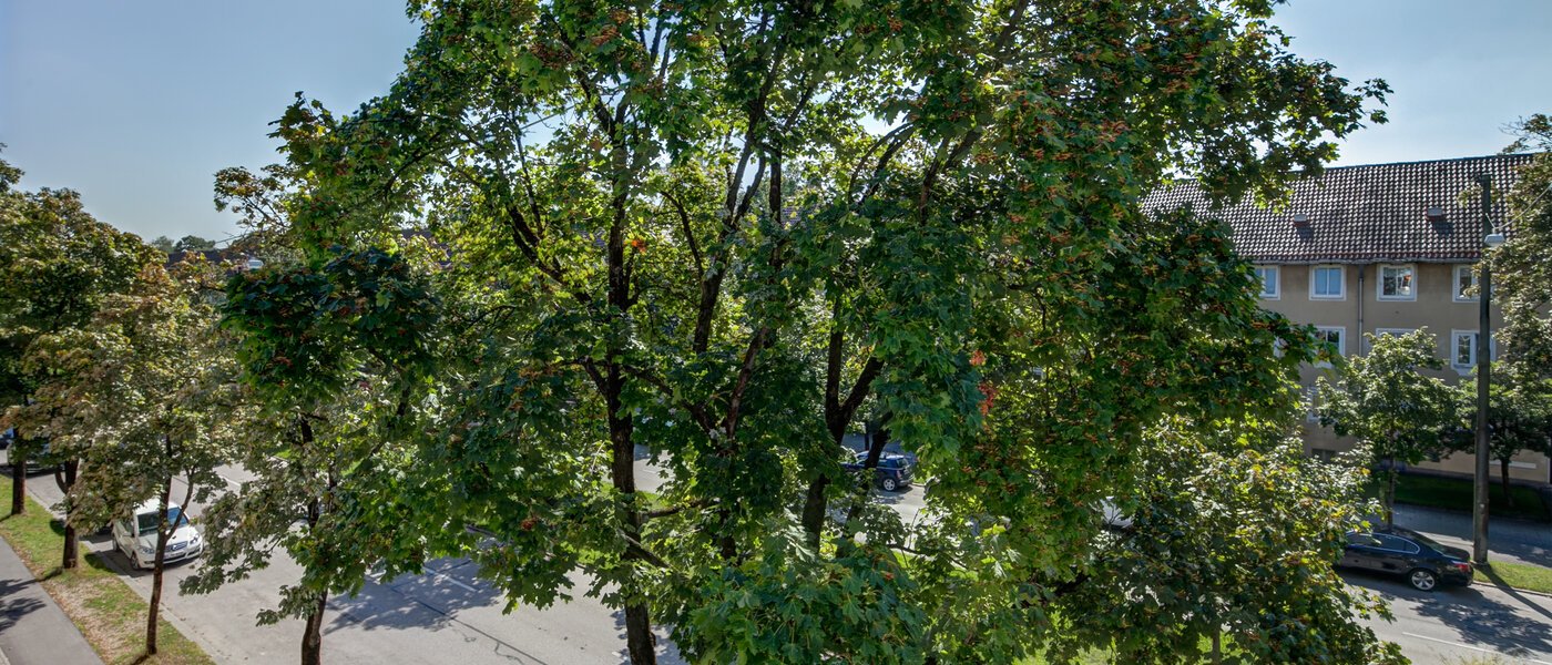 appartement München Westpark 05 vue 10184