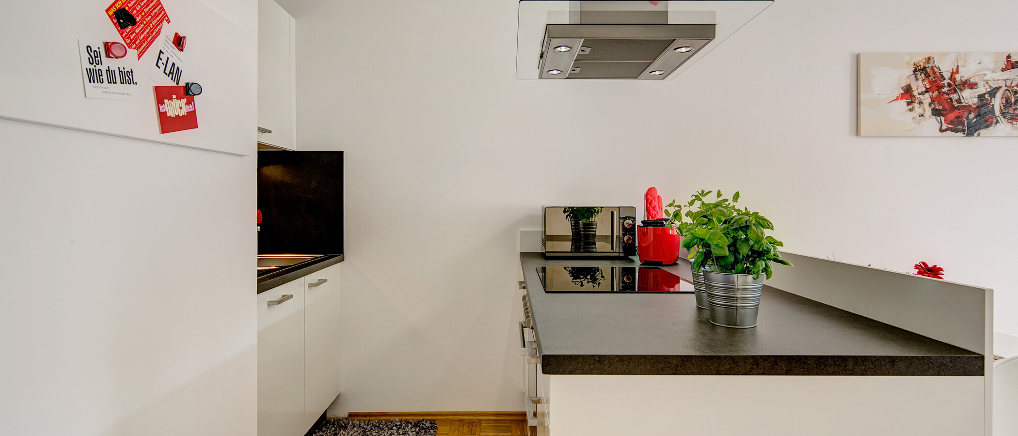 appartement München Obergiesing 01 cuisine 10202