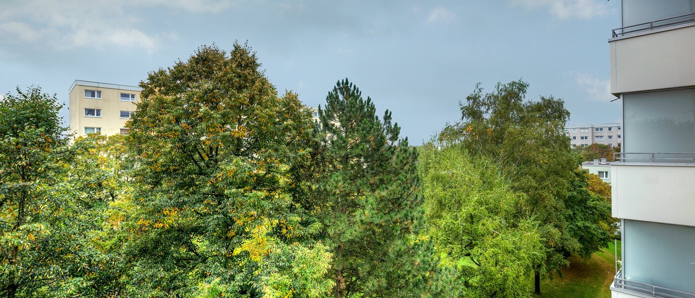 appartement München Englschalking 02 vue 10225