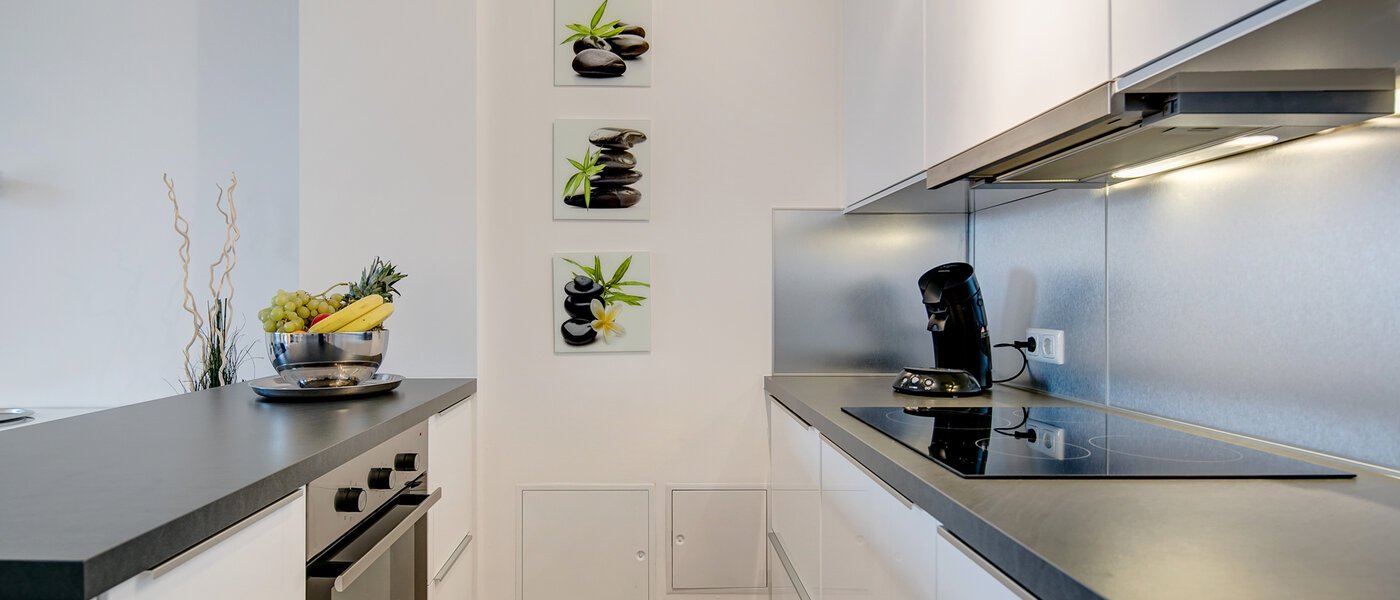 appartement München Ludwigsvorstadt 01 cuisine 10286