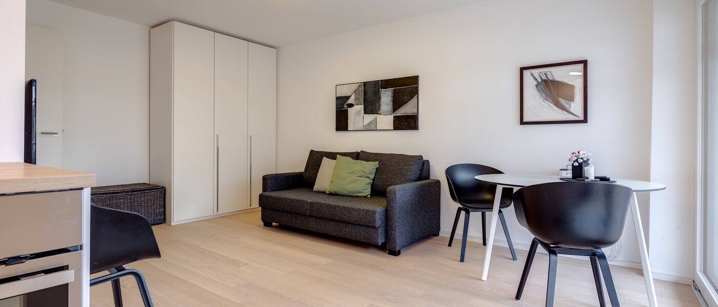 appartement München Nymphenburg 04 salon 10315