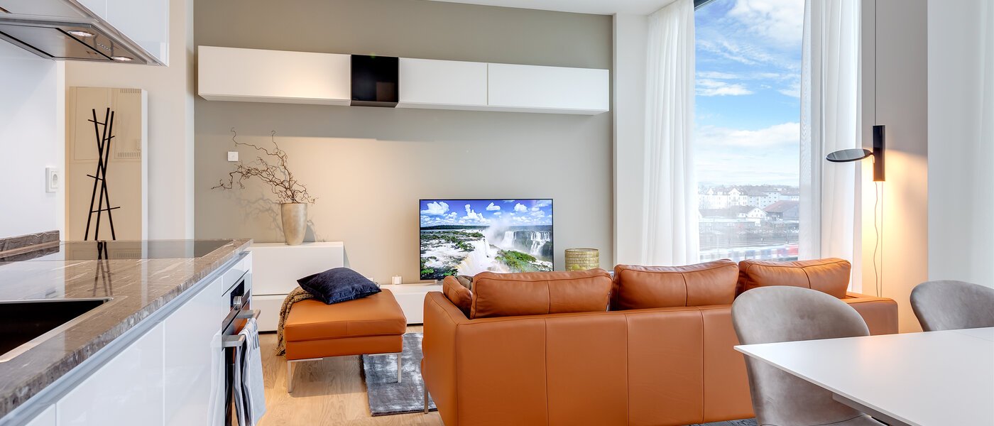 appartement München Nymphenburg 06 salon 10338