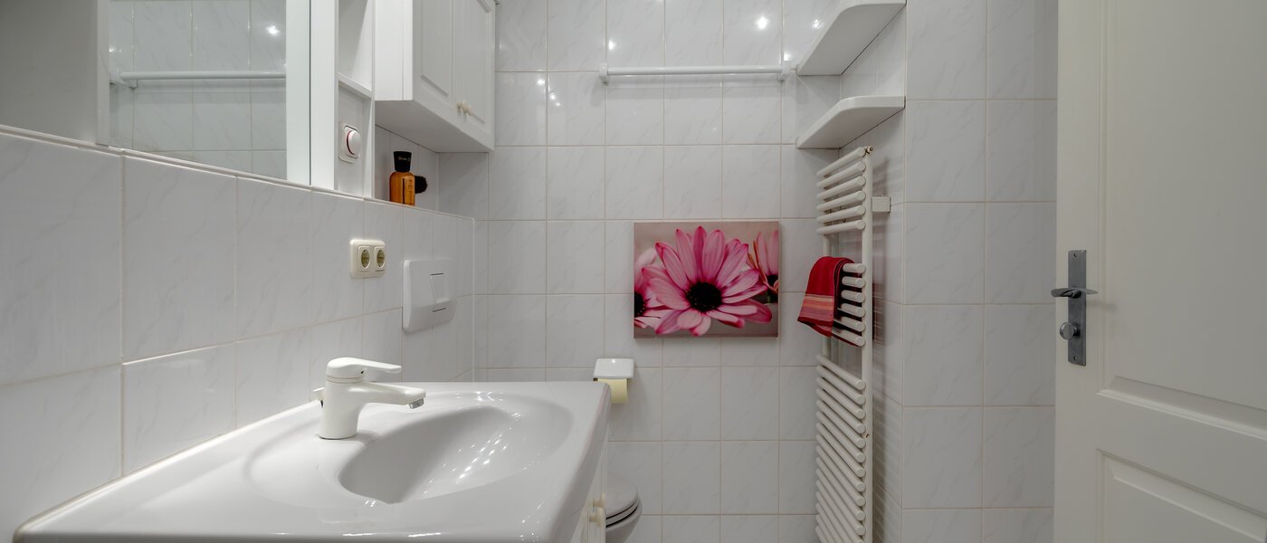 appartement avec mezzanine München Fasangarten 03 salle de bain 10367