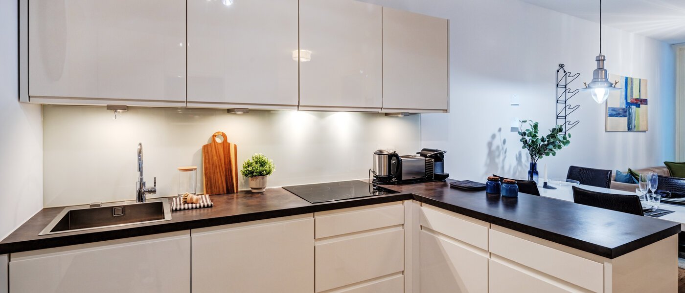 appartement München Maxvorstadt - Westen 01 cuisine 10381