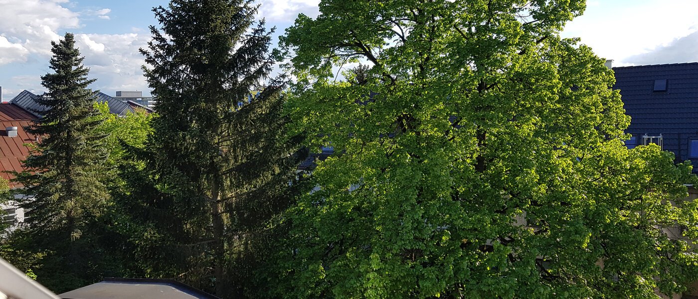 appartement sous les toits München Obersendling 06 vue 10566