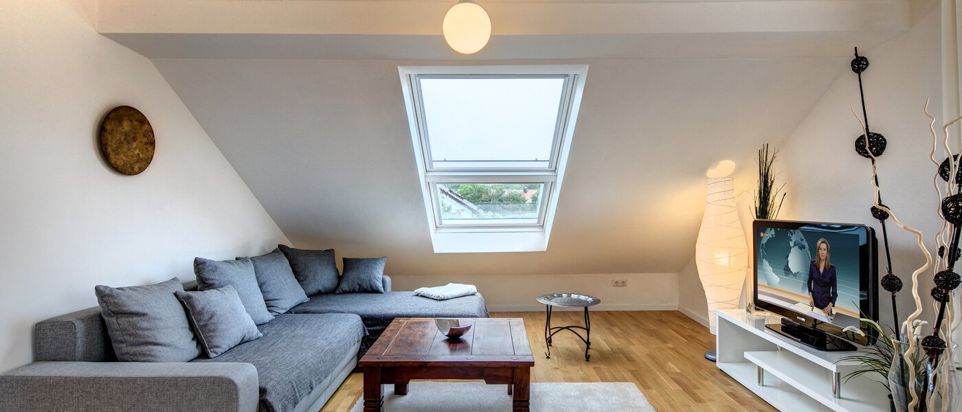 appartement sous les toits Eching 01 salon 10655