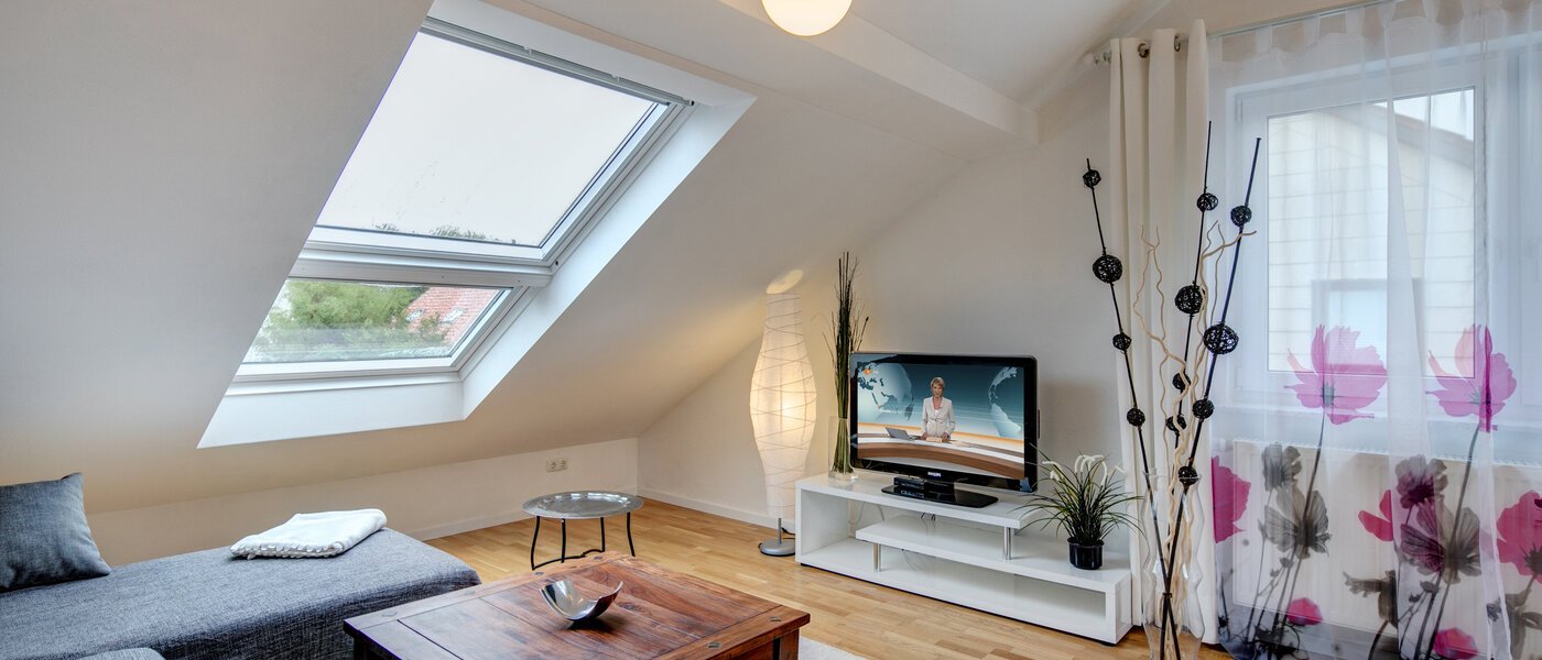 appartement sous les toits Eching 03 salon 10655